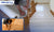 A Short Introduction to Hardwood Floor Protectors